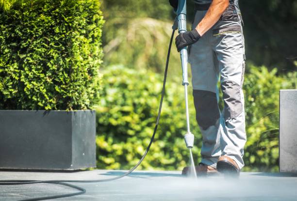 Best Gutter Cleaning and Brightening in Kingsland, TX